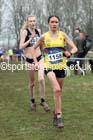 Senior womens Inter Counties Cross Country, Prestwold Hall, Loughborough. Photo: David T. Hewitson/Sports for All Pics